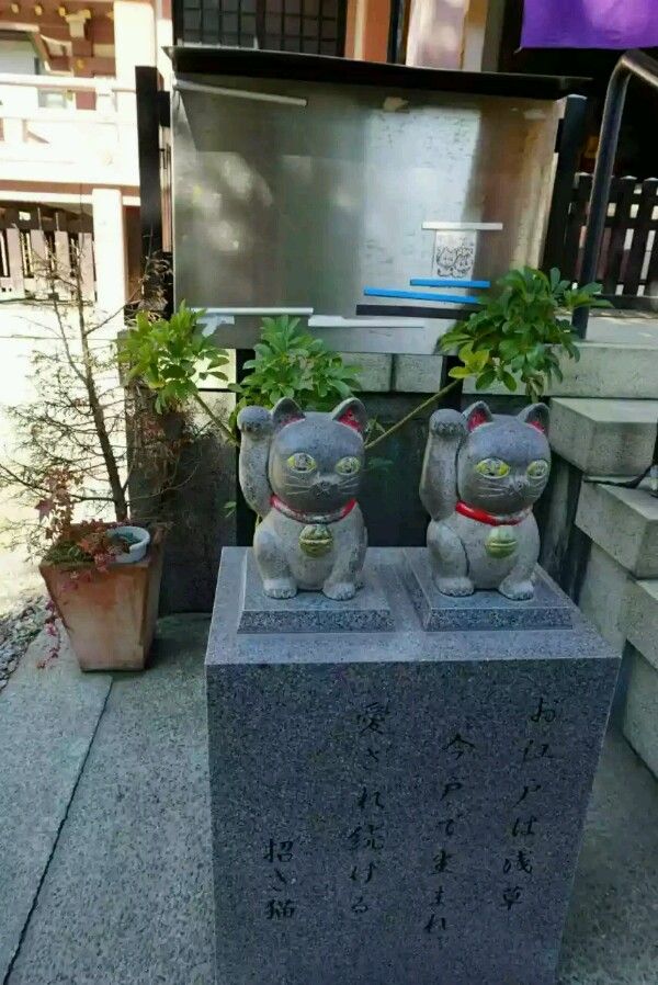 待ち受け紹介 第3回 4 11 4 17 願いを叶える招き猫 恋を呼ぶ白い鳩と桜 運気アップの待ち受け実践blog