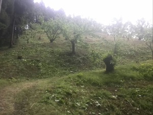 2f260c0c.jpg