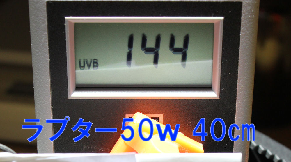 人気商品は ゼンスイ ソーラーラプター HIDランプ 50W ゼンスイ ソーラーラプター HIDランプ 50W