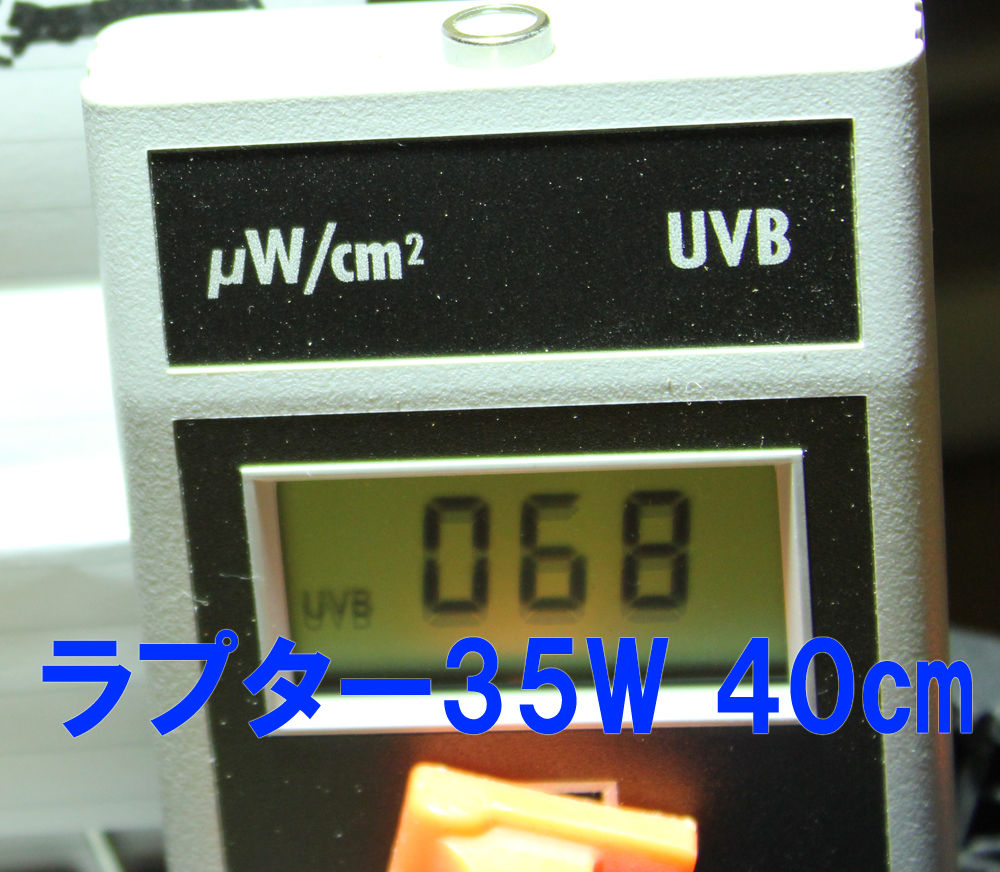 使えば分かるメタハラの良さ！ソーラーラプターHIDランプ紹介！ : 悠々