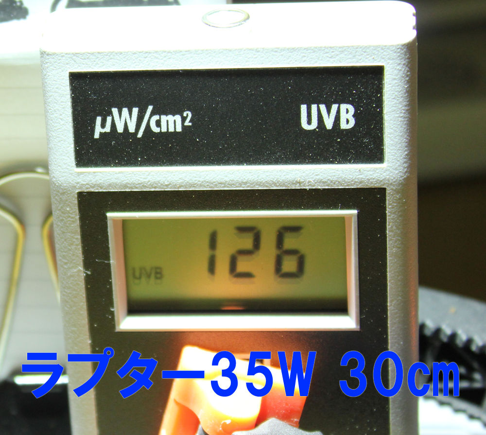 使えば分かるメタハラの良さ！ソーラーラプターHIDランプ紹介！ : 悠々