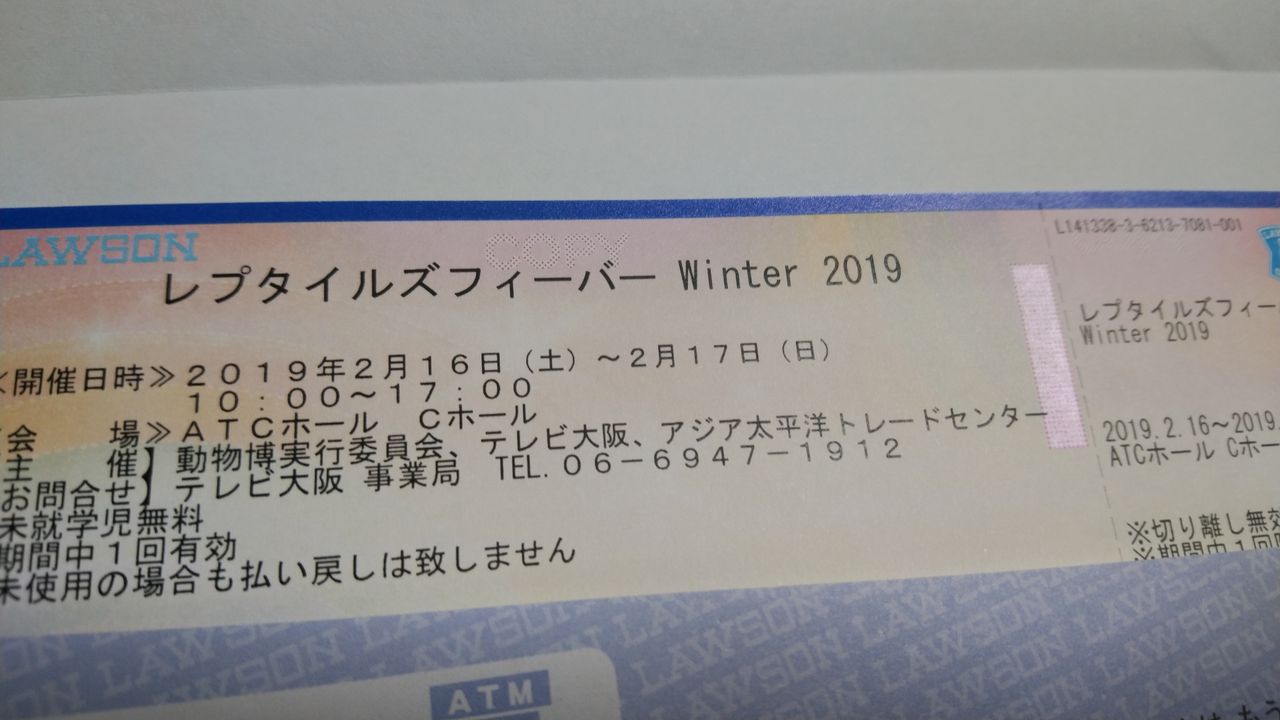 レプタイルズフィーバー Winter 19参戦 悠々カメライフ レプタイルズフィーバー Winter 19参戦 悠々カメライフ
