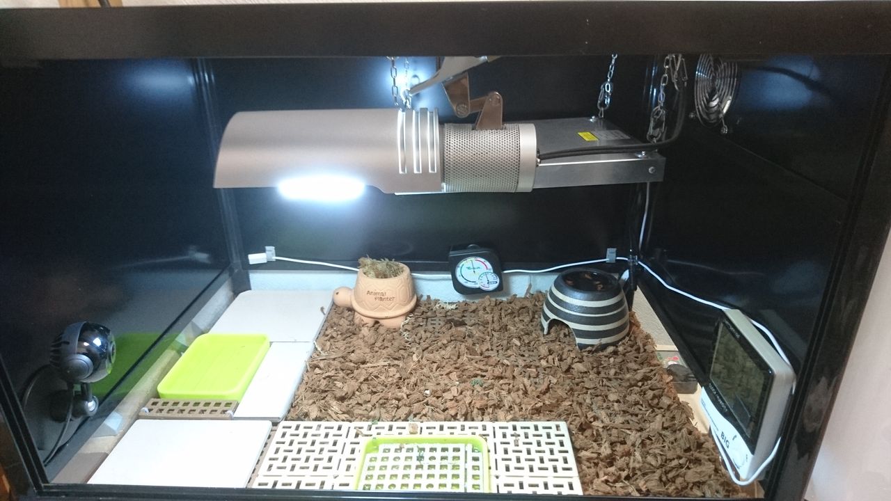 リクガメ保温器具の定番アイテム 暖突 暖突の設置方法 悠々カメライフ