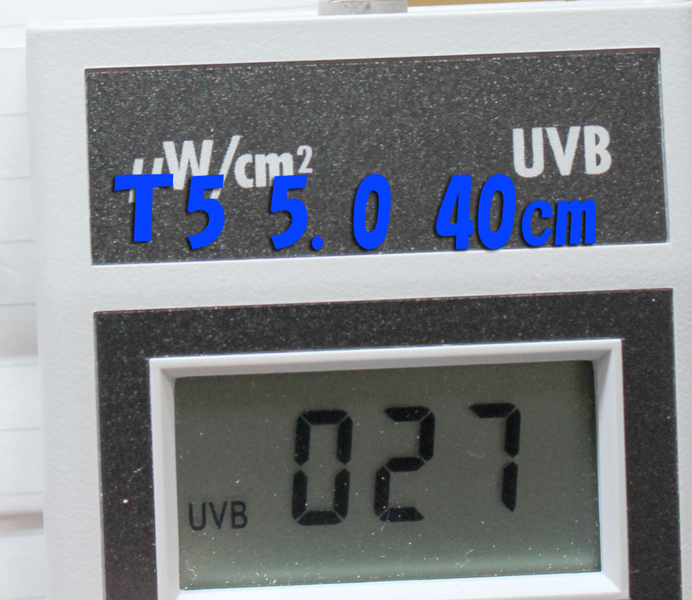 ネット通販で購入 爬虫類飼育用 紫外線計測器 RGM-UVB UVB測定器 爬虫類/両生類用品