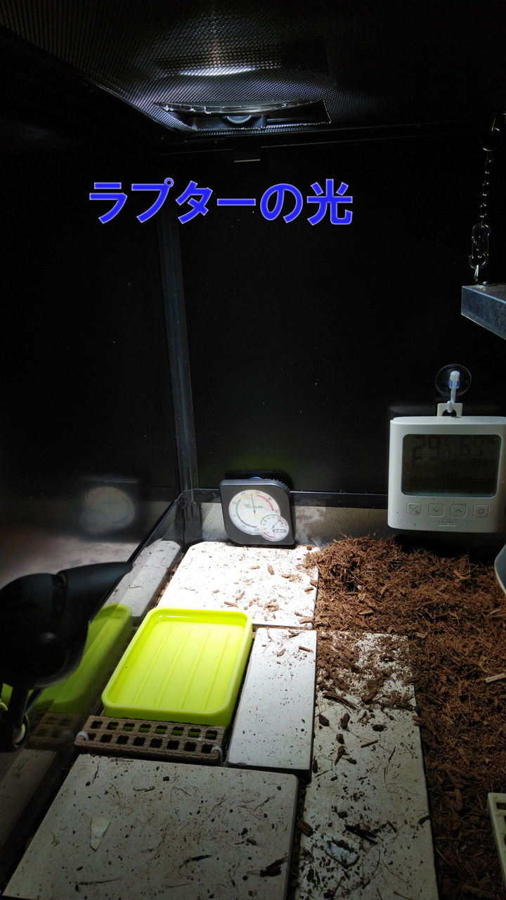 メタハラ、水銀ランプ色々まとめて プロが使う】おすすめ人気のメタハラ（メタルハライドランプ）ベスト5