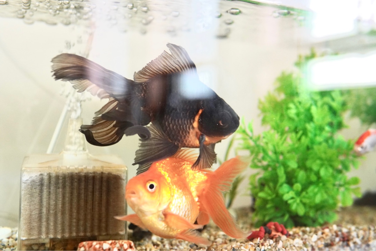 ハコ 収納 を大きくするとモノが増える 我が家の失敗例 ココロのくらし ニトリマニアの 静岡 整理収納アドバイザー Powered By ライブドアブログ