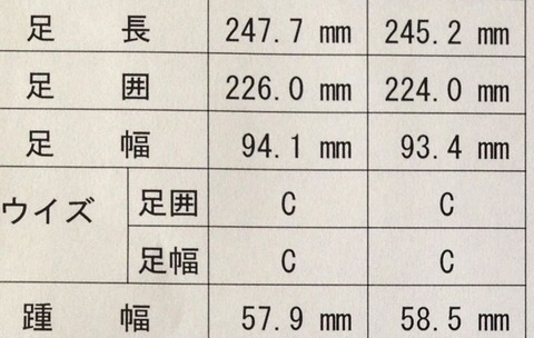 IMG_3461 - コピー