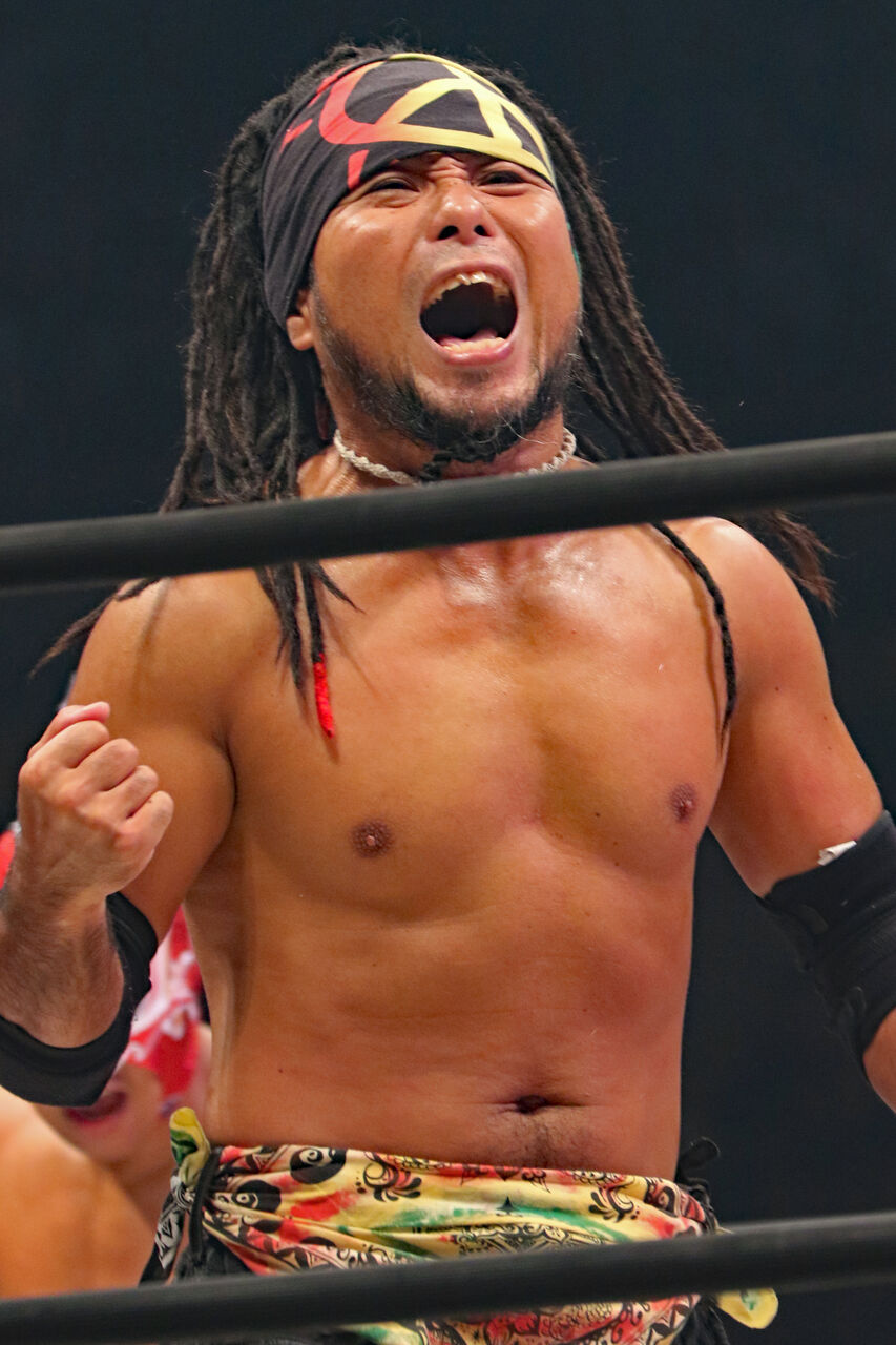 プロレスコスチューム 力まかせ 