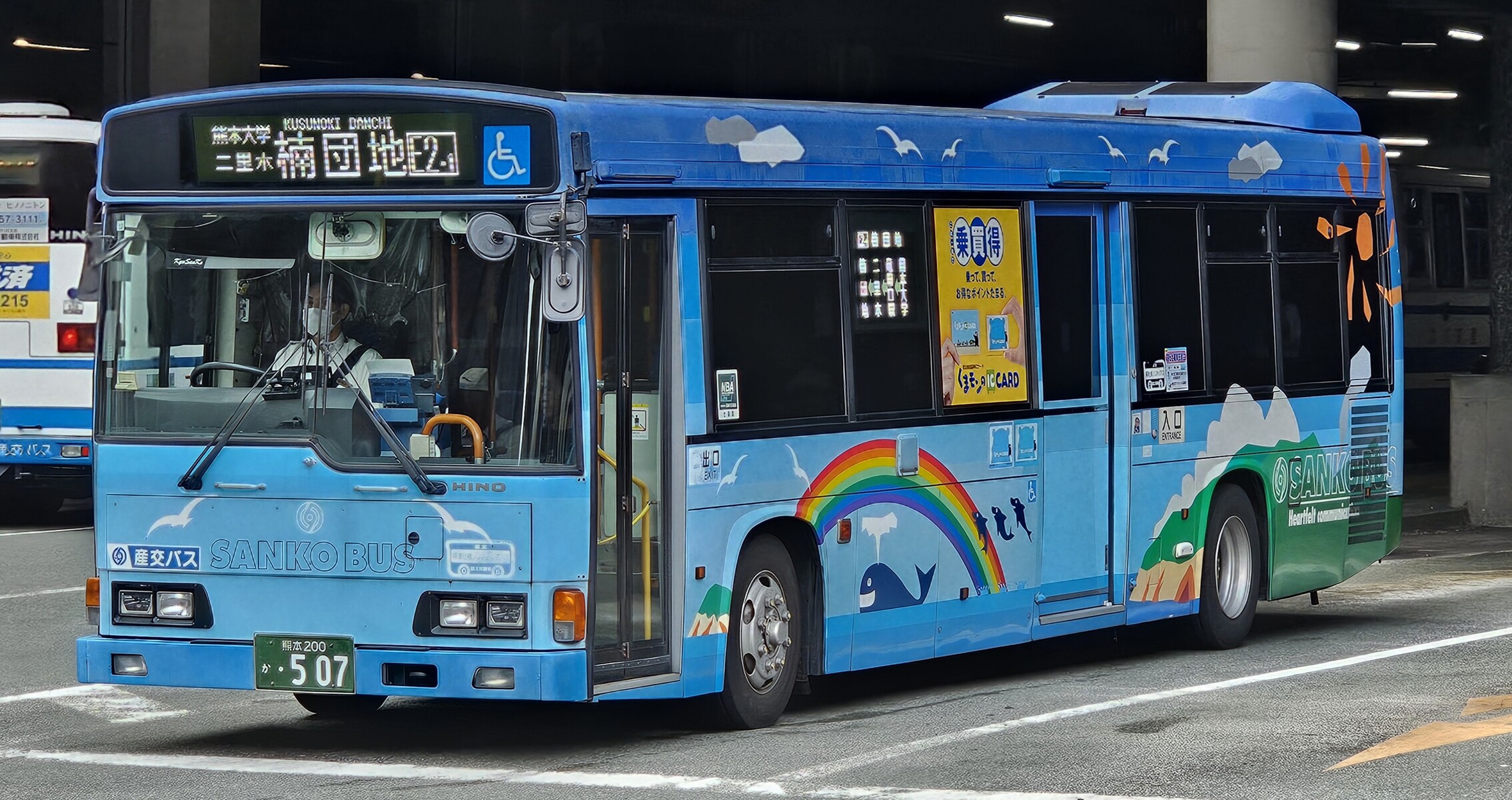 小熊 ケーセン ソフトブラウンベア（小） | TOYS&GIFT MOMO