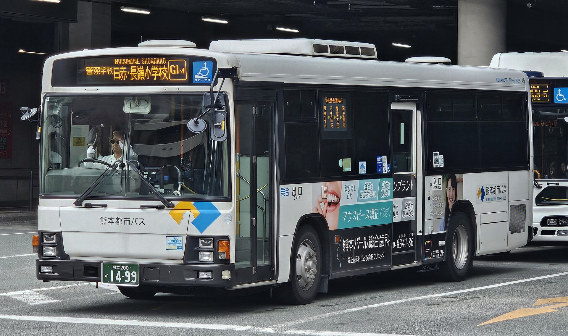 熊本　KUMAMOTO 6c9f77f9-s.jpg