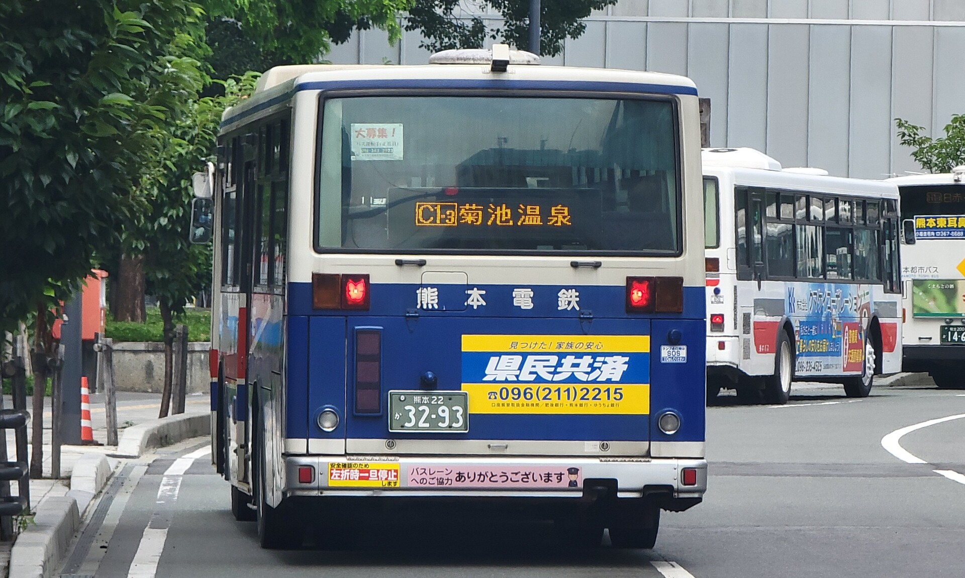 はくまい 3280 歩く白くま（ミニ）：おもちゃ：百町森
