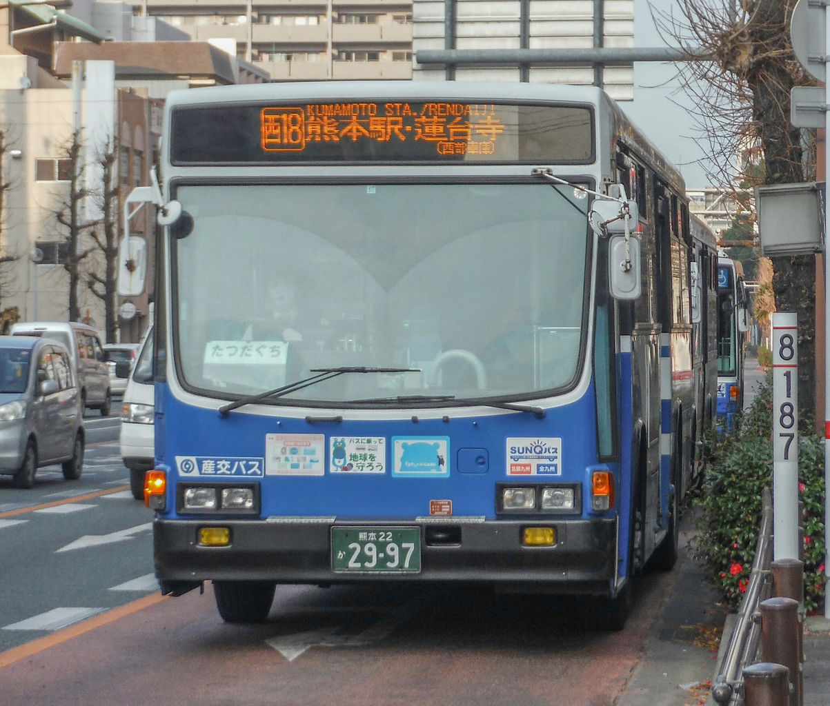 熊様 Pazdesign パズデザイン クマスプレーホルダー: フィッシング