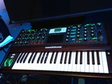 moog