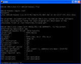 mipsel-debian-qemu