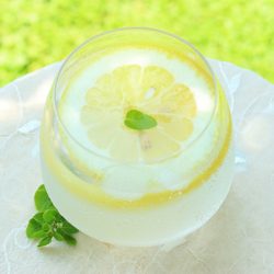 ダイエット続行中のやしろ優がハマる レモン酢 の秘密 ウェディングプランナーミュウの日記