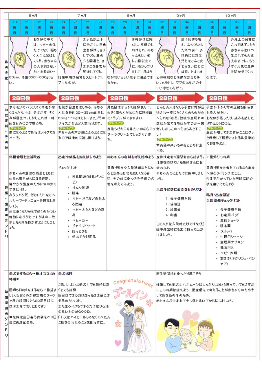 できちゃった婚のスケジュール ウェディングプランナーミュウの日記 できちゃった婚のスケジュール ウェディングプランナーミュウの日記