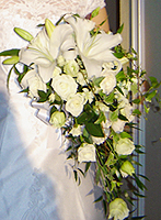 9d362ee9.jpg