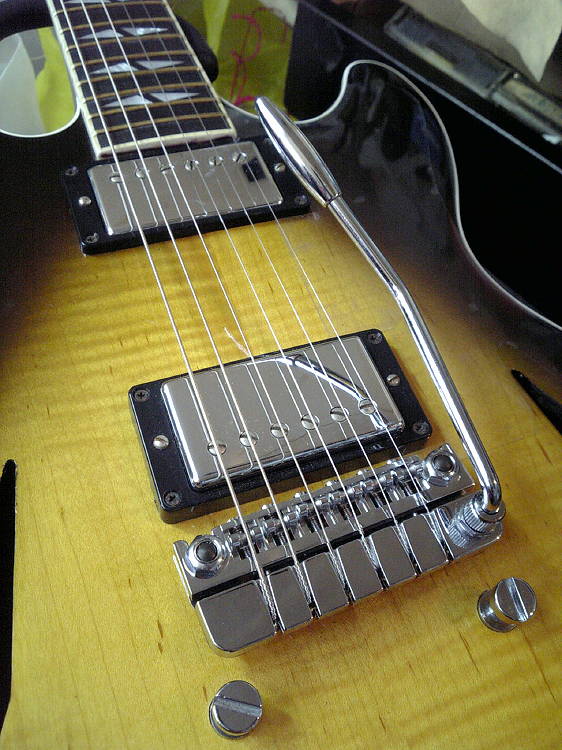 Schaller Lp Tremolo Kimoty House キモチイイイエ