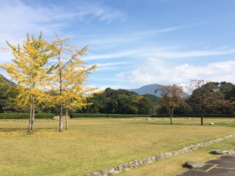 0172390236b072318339ec5ec74322996229bb4193