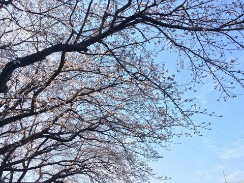 01b8566d0fb51ef130da0d2a76af8538020a5afece