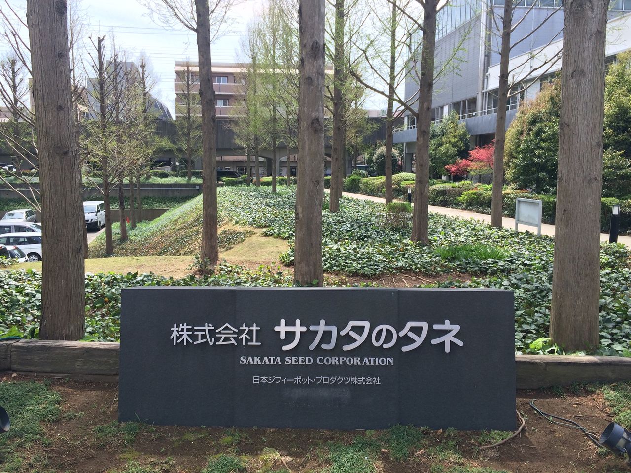サカタのタネ本社に行ってきました 偶然に 市民力太宰府 木村彰人 サカタのタネ本社に行ってきました 偶然に 市民力太宰府 木村彰人