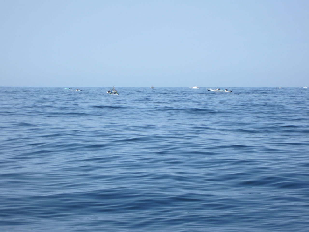 酒田真鯛round3 Kuma S Fishing Report 酒田真鯛round3 Kuma S Fishing Report