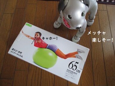 続 今日のうさこ 酔う 続 今日のうさこ 酔う