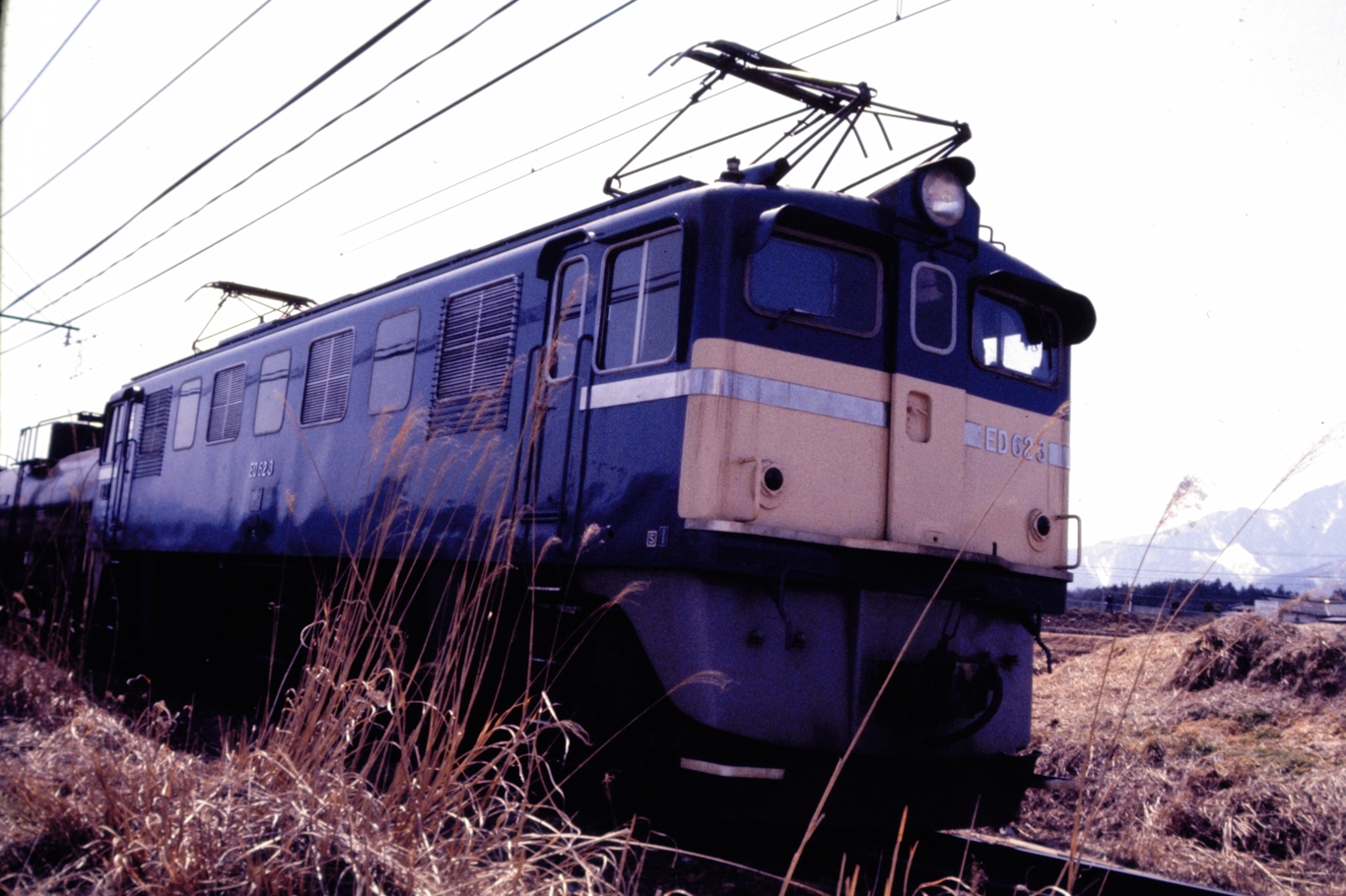 1983/3/20撮影 : ZAKKI2