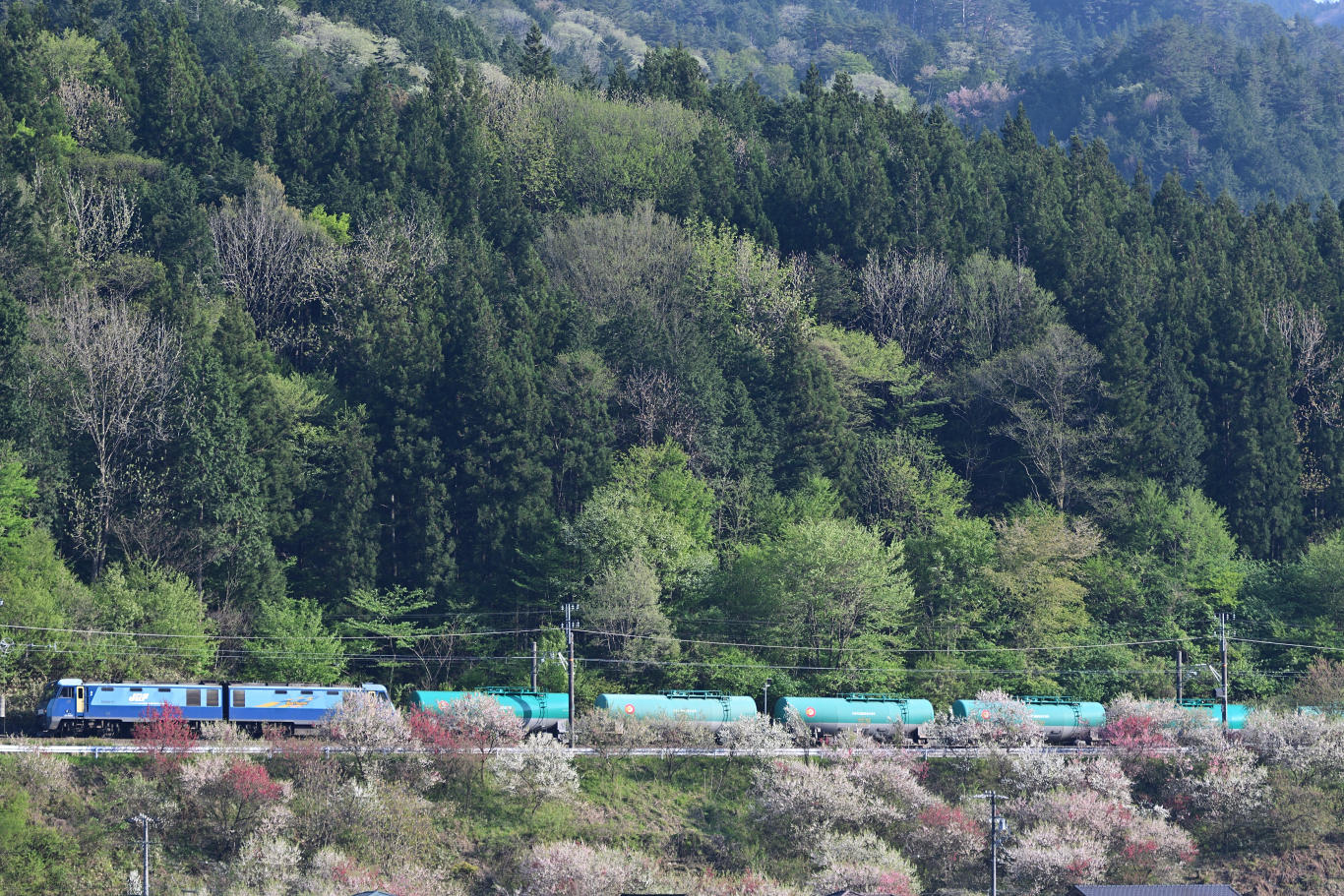 4/26 中央西線電機撮影 : ZAKKI2