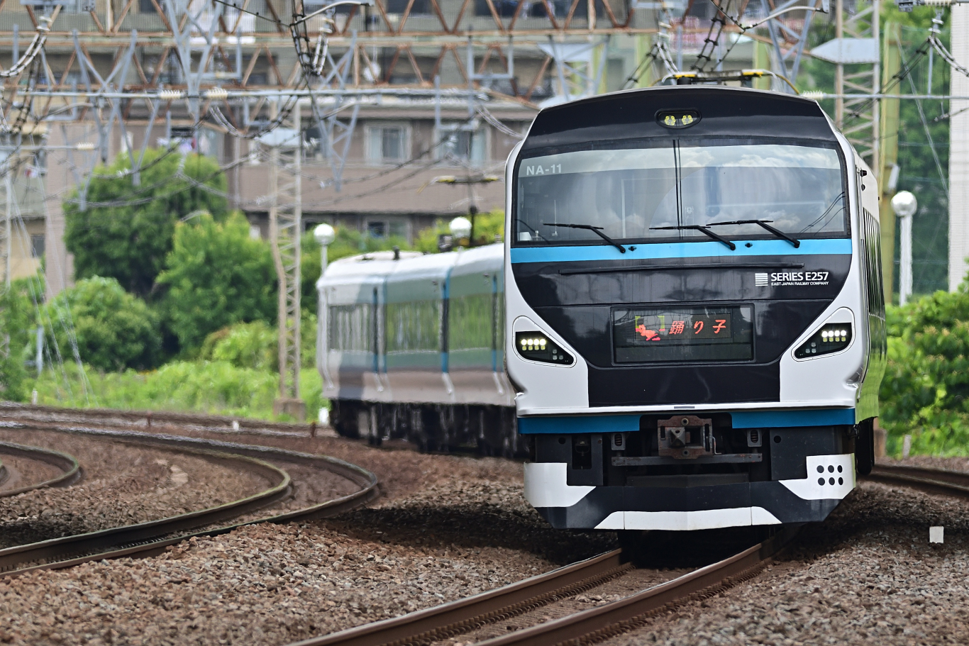 東海道の各種E257系 : ZAKKI2
