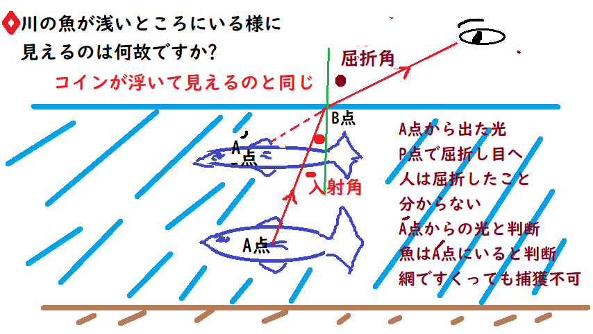 テストに出る水中のコインと魚 中学 数学 理科の復習サイト