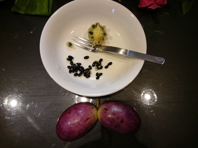 こっこ うんべ むべ の食べ方 Knagaのblog 本 映画その他