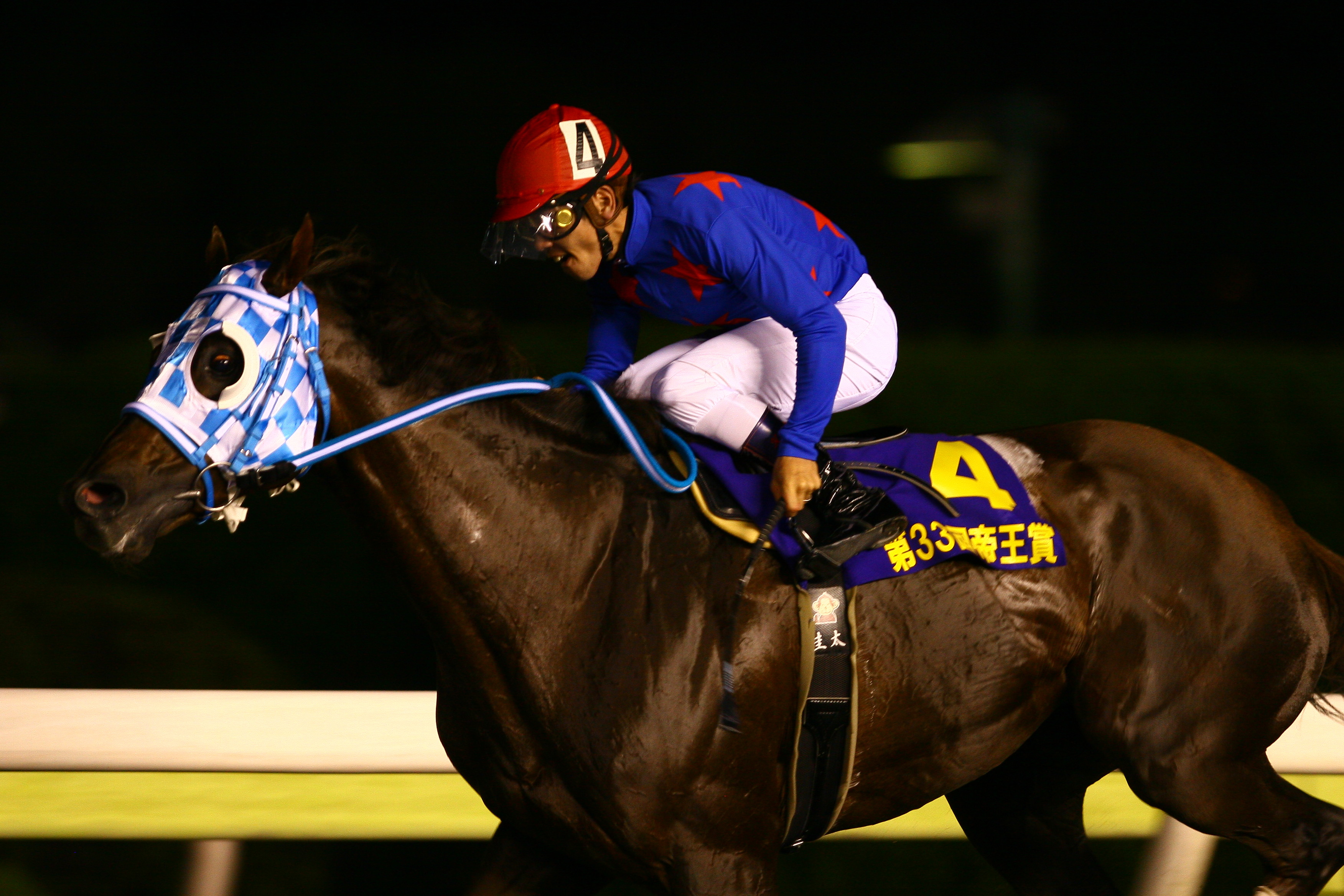 ä»å¹´æå¾ã®äºæ³ æ±äº¬å¤§è³å¸ ããã«ã¡ ããªã­ ï½ï½ ã¼ã¡ã¼ã¡ æ'®å½±æ¥è¨