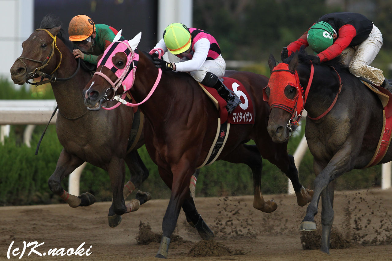 昨日は園田金盃でした 年度代表馬に近づく勝利か もしカメ ナオキ ｎｏ ぼちぼち 撮影日記