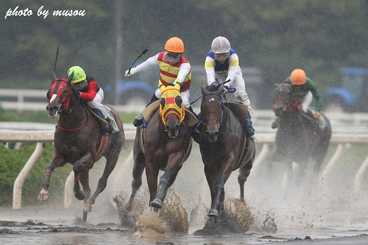 本日の写真 地方競馬 園田競馬 １０７ｔｈ ｄａｙｓ 疑問に思う