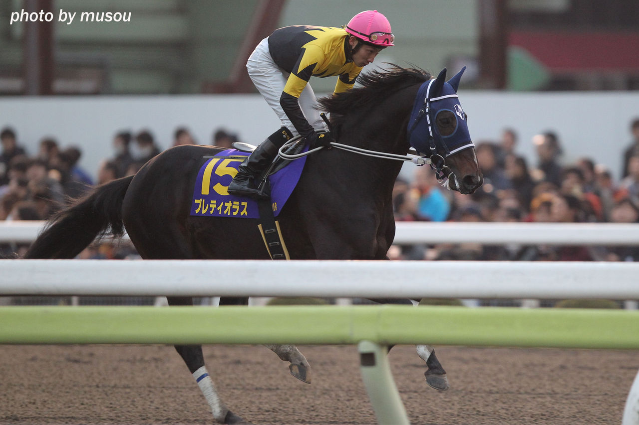 イノセント カップ