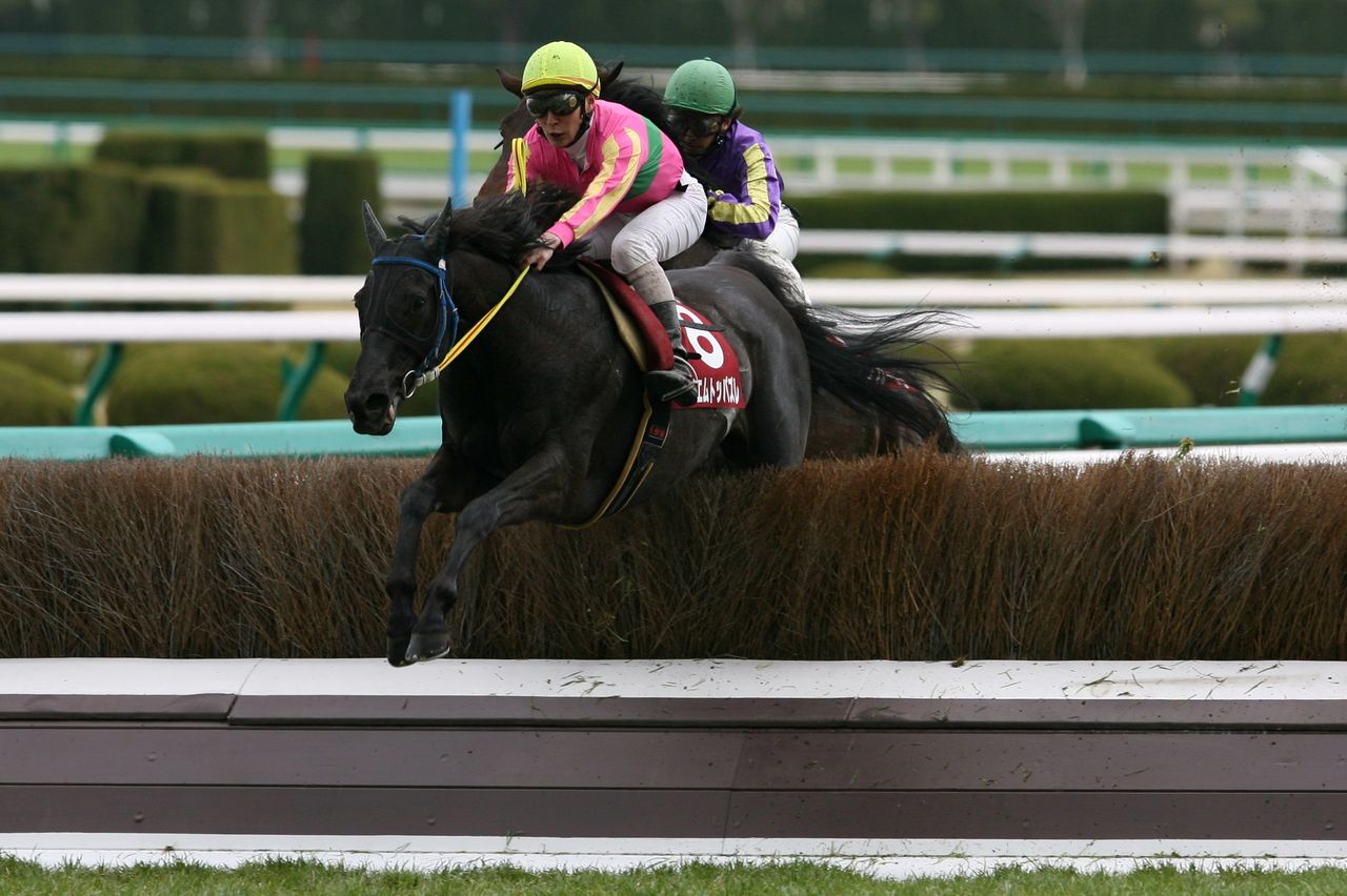 の 競馬 今週 中央