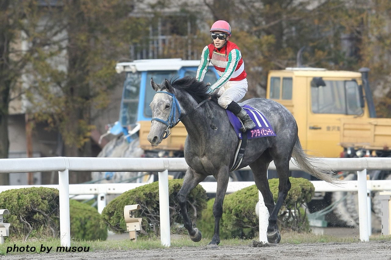 地方競馬便り 明日はエンプレス杯 本日の3歳戦 15 3 3分 もしカメ ナオキ no ぼちぼち 撮影日記 地方競馬便り 明日はエンプレス杯 本日の3歳戦 15 3 3分 もしカメ ナオキ no ぼちぼち 撮影日記