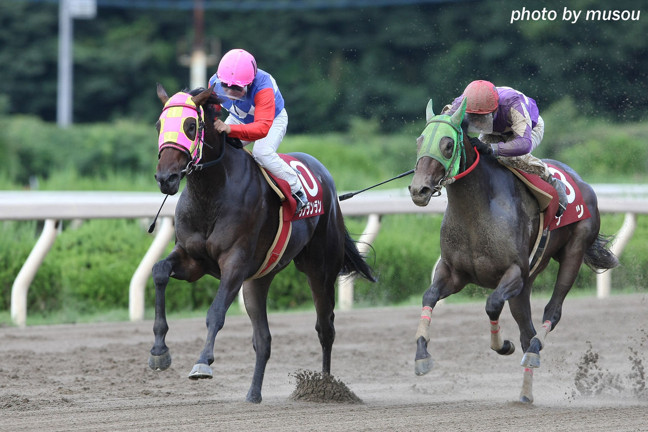 競馬 本日 地方