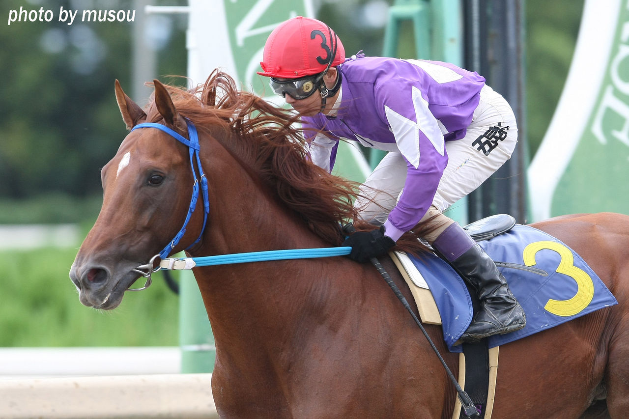 競馬 地方 本日 の