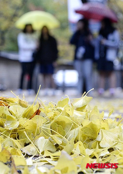kneta5のblog
【グロ注意!】落ち葉の中を散策するバ韓国塵ども
コメント