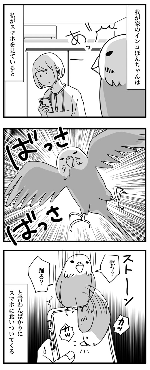 BONNSUのコピー
