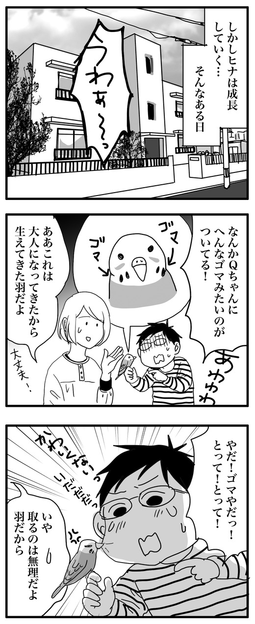 めりくりのコピー2
