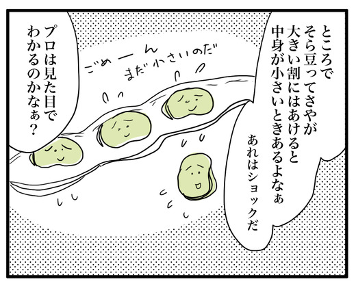 soramame のコピー3