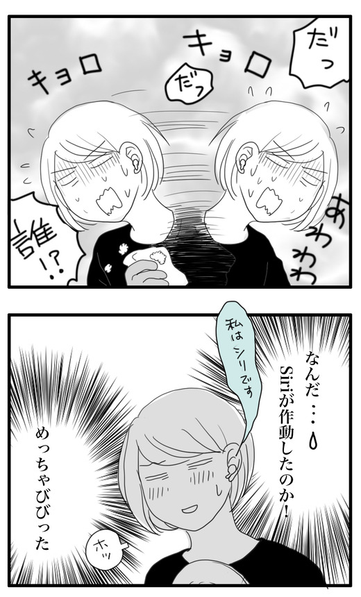 しりのコピー3