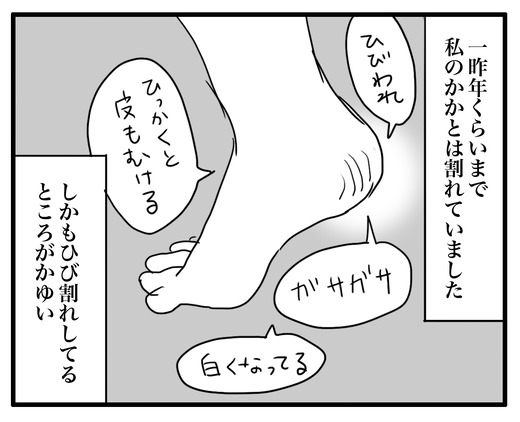 hositu のコピー