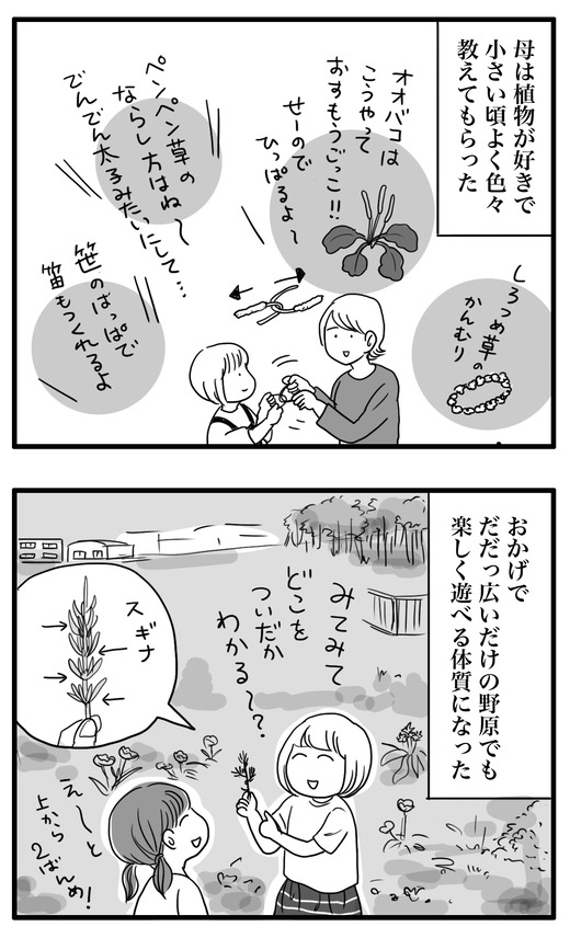 母2