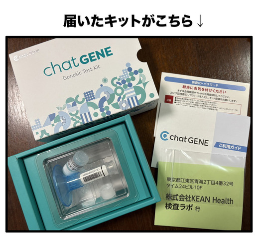 遺伝子のコピー2