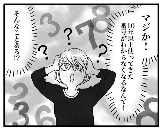 電話番号 のコのコピー2