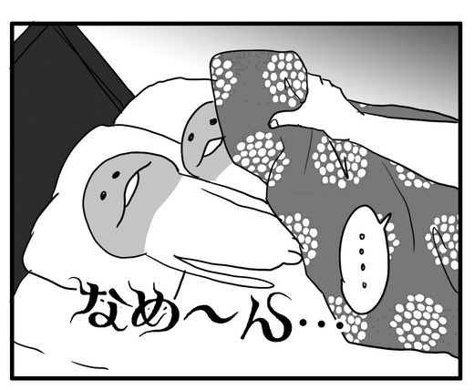 いないよのコピー5